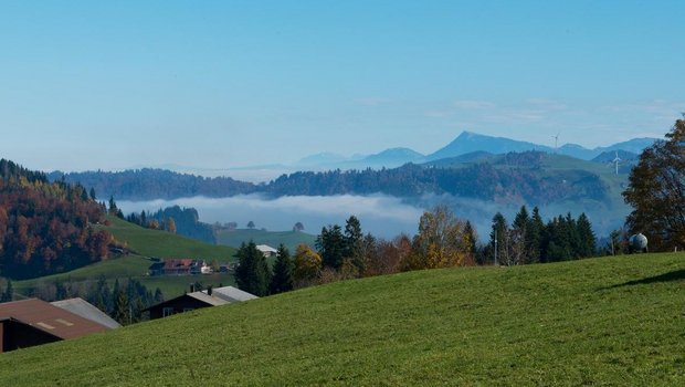 Welche Einflüsse prägen den Strukturwandel der Schweizer Landwirtschaft?
