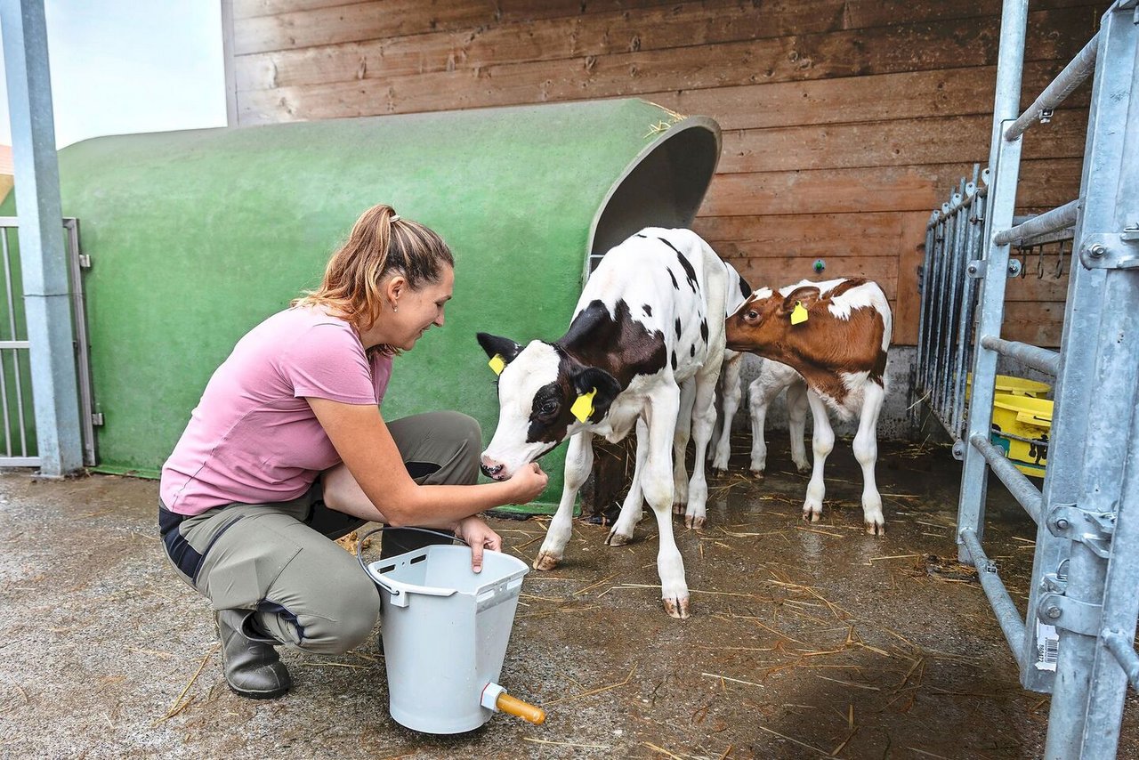 Im Alltag gehört das Tränken der Kälber klar zu Anja Hodels Aufgaben – obwohl alle drei im Team jede Arbeit ausführen können.