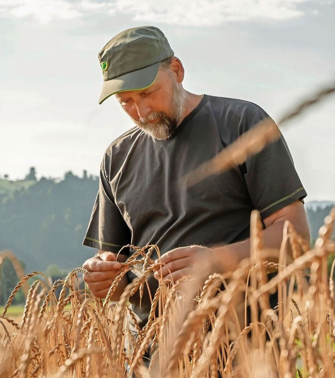 Niklaus Althaus empfiehlt Sorten mit Makel in Sachen Standfestigkeit nur für den intensiven Anbau.