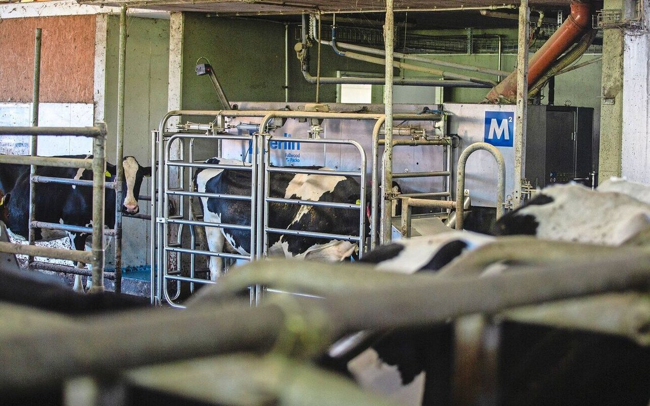 Die Nachfrage nach Melkrobotern ist gross. Neun von zehn Geschäfte im Melktechnikhandel werden heute im Bereich der Melkroboter getätigt.