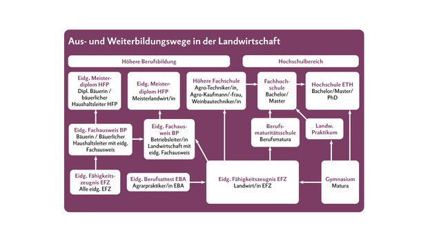 Die Wege in der Landwirtschaft sind vielfältig. Die weiteren Ausbildungswege ab Landwirt/in EFZ können auch mit den Abschlüssen Weinfachmann/-frau EFZ, Gemüsegärtner/in EFZ und Obstfachfrau/-mann EFZ absolviert werden. 