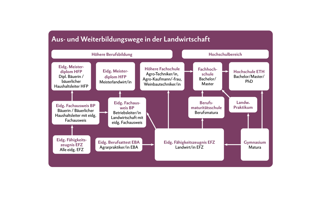 Die Wege in der Landwirtschaft sind vielfältig. Die weiteren Ausbildungswege ab Landwirt/in EFZ können auch mit den Abschlüssen Weinfachmann/-frau EFZ, Gemüsegärtner/in EFZ und Obstfachfrau/-mann EFZ absolviert werden. 