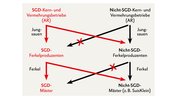 Hinweis: «SuisKlein» gibt keine Auskunft über den Gesundheitszustand im Betrieb, sondern attestiert nur das Führen des EBJs! Quelle: Suisag