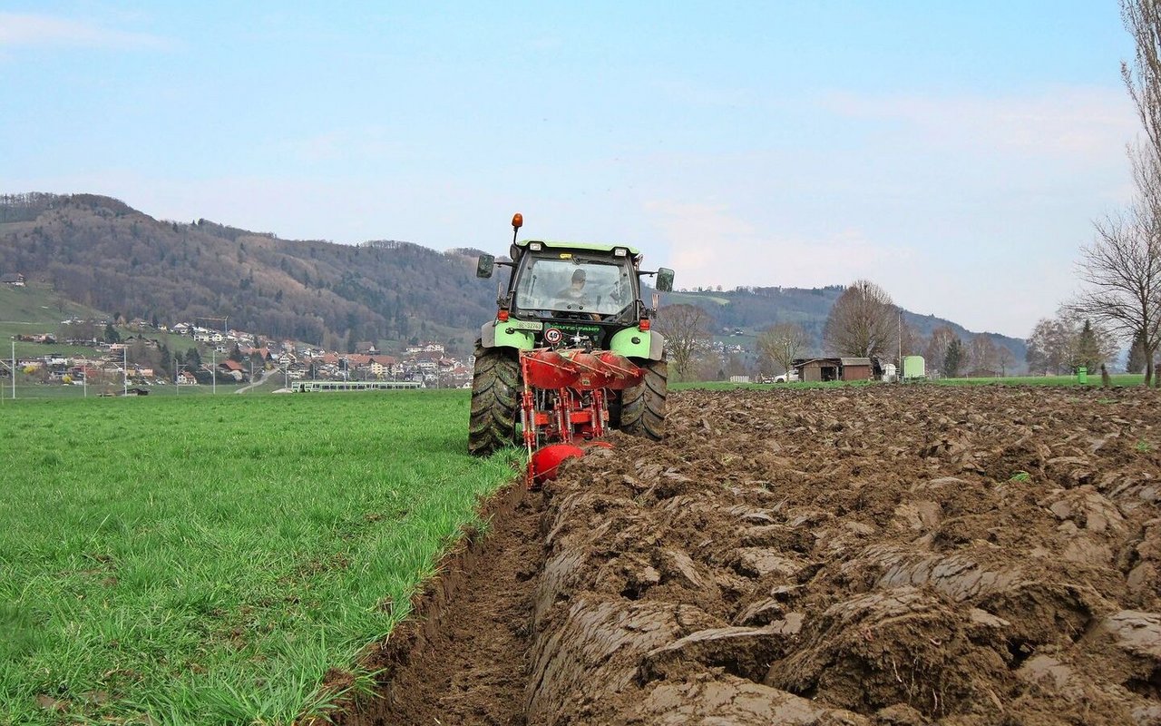 Kurzfristige Erfolgsgarantie: auch das Pflügen hat noch nicht ausgedient. 