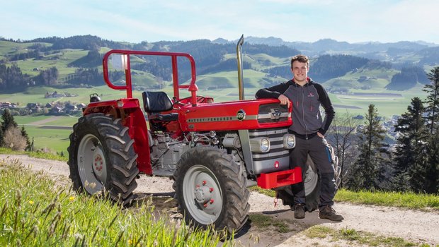 Der Massey Ferguson 135 ist der Traumtraktor von Christian Eggimann aus Rüderswil BE.  (Bild: «die grüne» / Pia Neuenschwander)