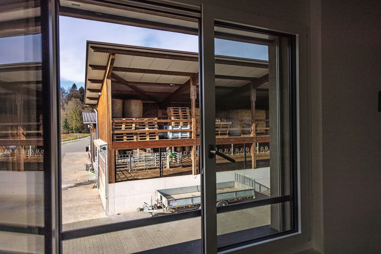 Vom Wohnzimmer direkt in den Kuhstall schauen und beobachten, ob bei den Mutterkühen alles in Ordnung ist: Das ist bei Familie Kohler möglich.