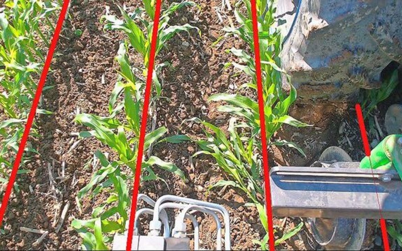 Die Gerätesteuerung wurde mit Datensätzen trainiert, so dass die Reihen unabhängig von Licht oder Pflanzengrösse erkannt werden.