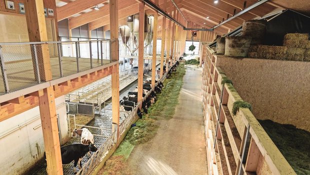 Für die Käsereimilch-Produktion auf dem Betrieb Grangeneuve braucht es hochwertiges Dürrfutter. Das Futter aus den vier Heustöcken auf der rechten Seite kann direkt mit dem Heukran an der Krippe abgelegt werden. 