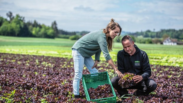 Gamper Gemüsekulturen gehört je zur Hälfte Michaela Lüthi-Gamper und Simon Forster. Simon Forster ist als Gemüsegärtner-Meister für den Anbau verantwortlich. Bild: Pia Neuenschwander