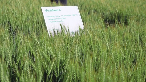 Sorgfältige Versuche müssen die tatsächliche Wirkung von Biostimulanzien  sicherstellen. Andernfalls erhalten diese kein Prüfsiegel. 