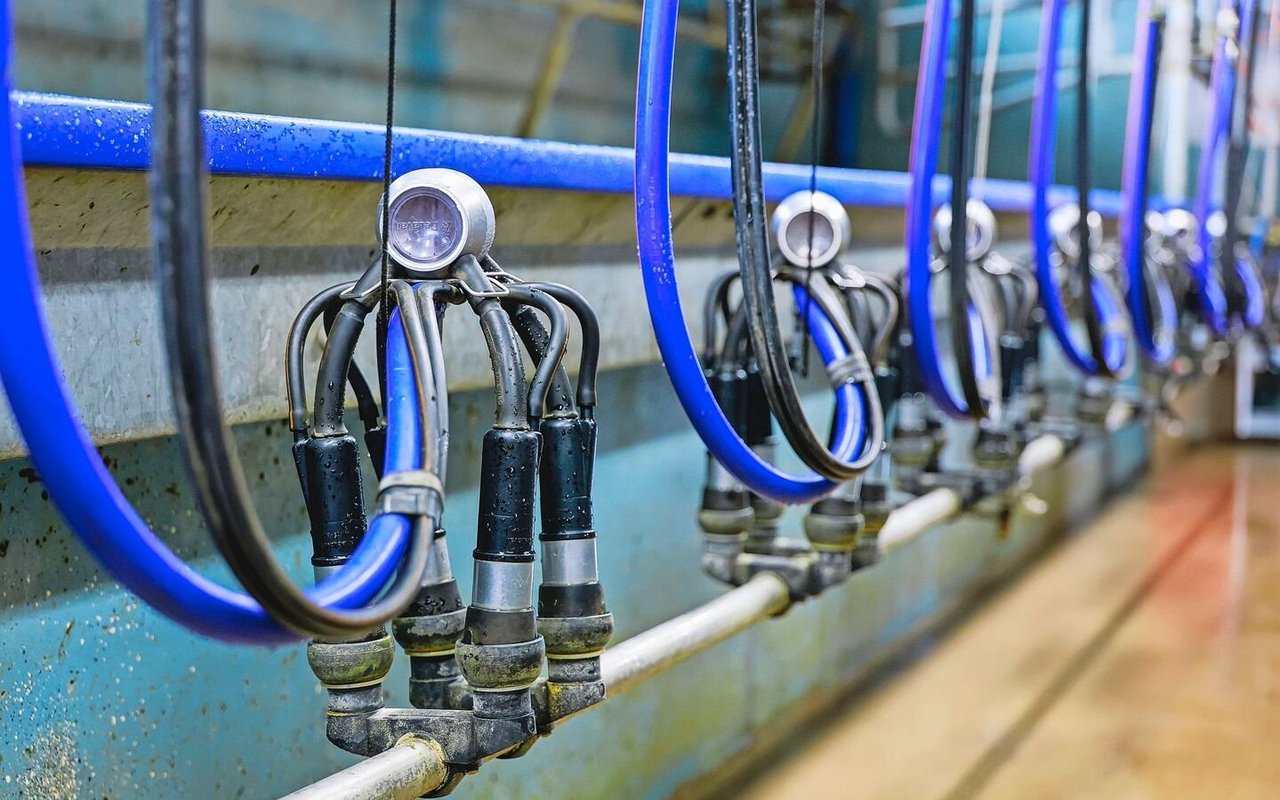 Mithilfe der Vollkostenrechnung kann Transparenz bis hin zum Arbeitsverdienst pro Stunde geschaffen werden. In der Milchproduktion ist die Arbeit der mit Abstand grösste Kostenfaktor.