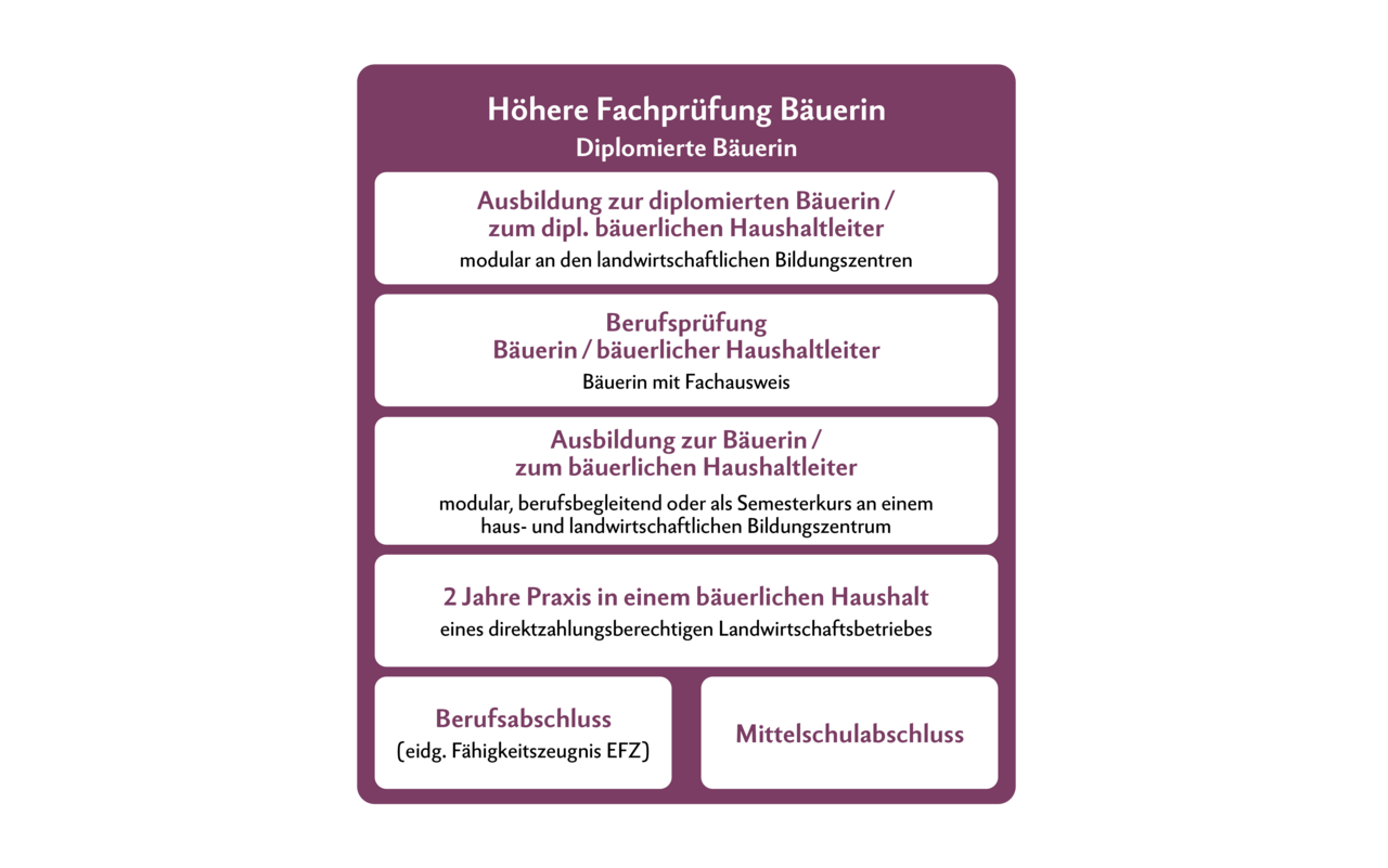 Die Ausbildung zur Bäuerin ist modular aufgebaut. Die Prüfung zur diplomierten Bäuerin wird nach der Prüfungsordnung der höheren Fachprüfung im Berufsfeld Landwirtschaft abgeschlossen.