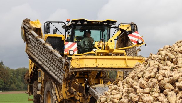 Marco Bühler mit seinem Arbeitsgerät: Die Ropa Maus 5 des Rübenrings Aarberg. Bild: Sebastian Hagenbuch